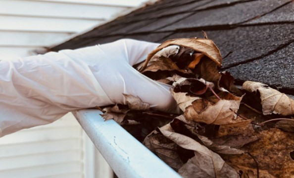 What Happens If You Don’t Clean Your Gutters?